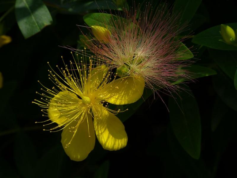 P1020136.JPG