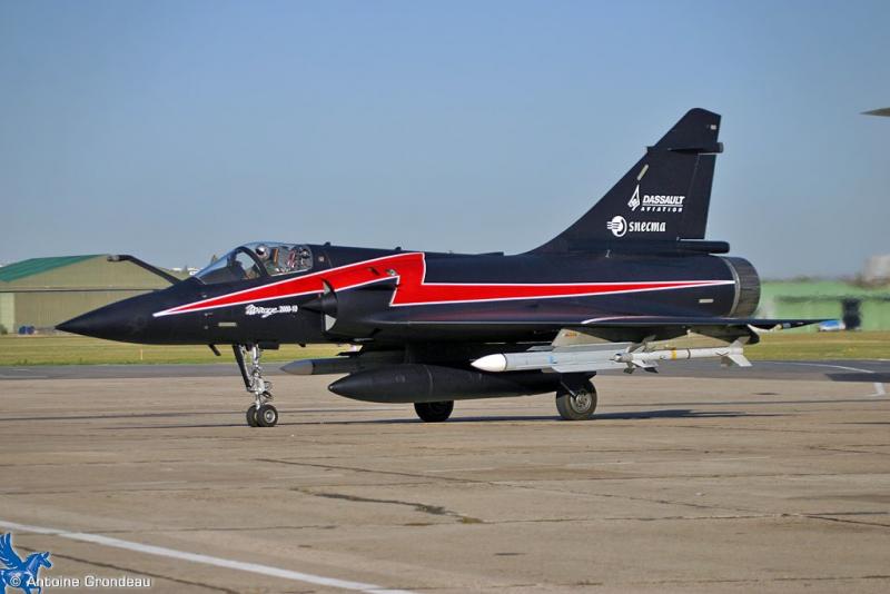 8451.jpg