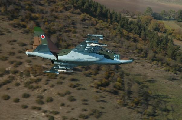 Su-25_plane,_Georgian_Air_Force.jpg