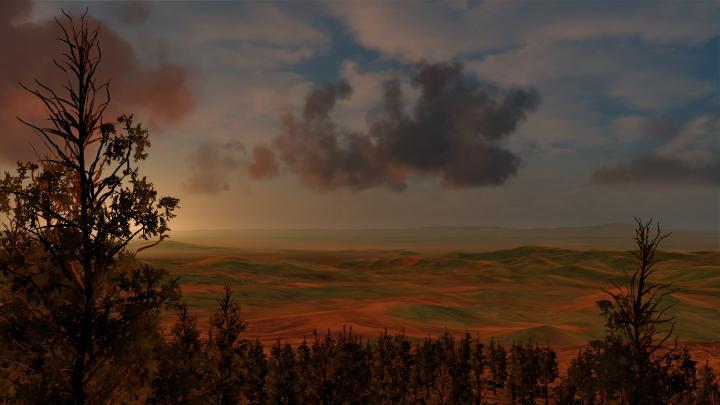 Trees-2.jpg