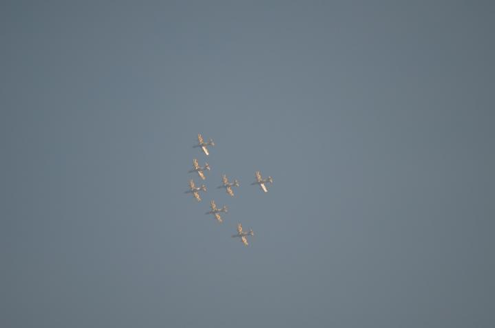 DSC_0519.jpg