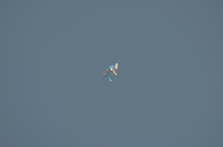 DSC_0963.jpg