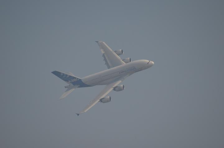 DSC_0648.jpg