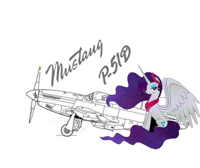 P51.jpg