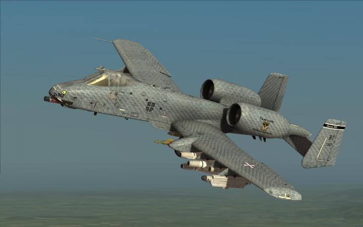 A10C 蛇纹涂漆.jpg