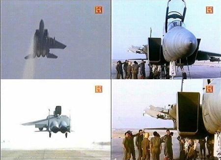 Israeli F-15 - 1 Wing.jpg