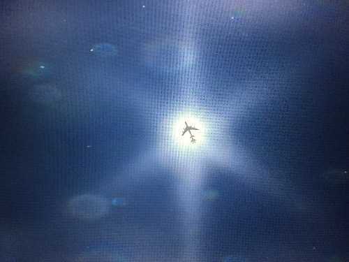 image.jpeg