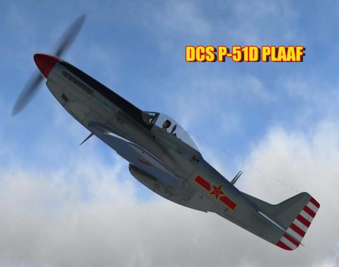 P-51 cover.jpg